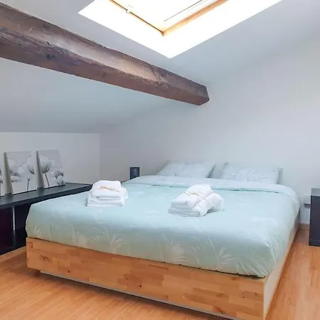 Apartment Spacieux Au Calme 15min Sud De Lyon Proche Metro Et Gare Confluence Aquarium Gerland Oullins