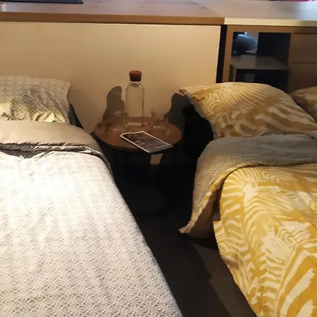 Apartment Spacieux Au Calme 15min Sud De Lyon Proche Metro Et Gare Confluence Aquarium Gerland *