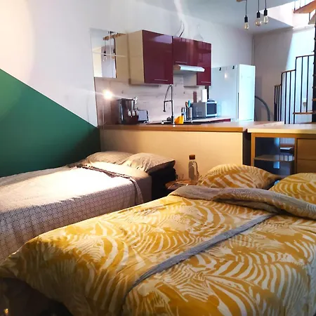Apartment Spacieux Au Calme 15min Sud De Lyon Proche Metro Et Gare Confluence Aquarium Gerland Oullins